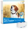 Tractive GPS DOG 4 - white