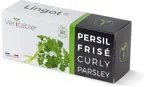 Véritable Lingot Curly Parsley - Organic