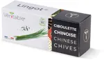 Véritable Lingot Chinese Chives - Organic