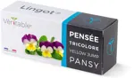 Véritable Lingot Pansy - Organic