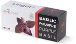 Véritable Lingot Purple Basil - Organic