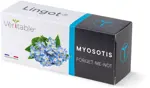 Véritable Lingot Forget me not (Myosotis)