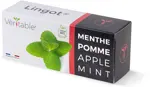 Véritable Lingot Apple Mint