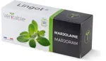 Véritable Lingot Marjoram - Organic