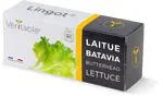 Véritable Lingot Butterhead Lettuce  - Organic