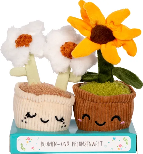 Set di piante Daisy Plush 2 pezzi - Girasole + Margherita [15 cm]