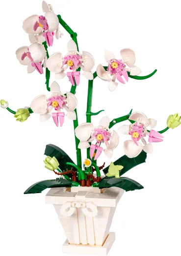 Orchid white - Building bricks