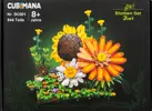 2-in-1 Flower Set - Building bricks