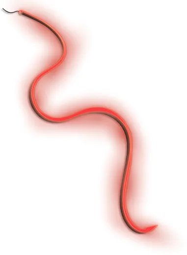 Cozze LED-Lichtstreifen für Elements Outdoor-Küchen [5m]