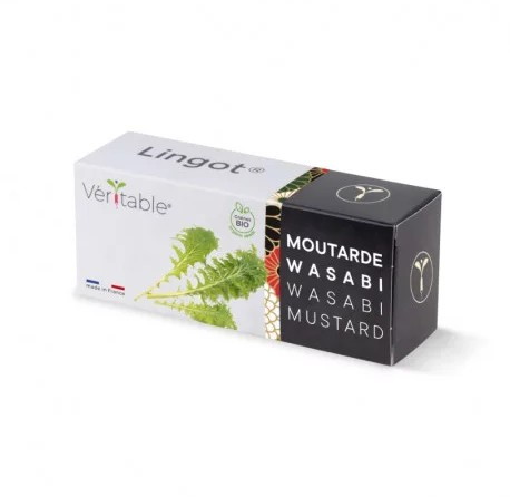 Véritable Lingot Wasabi Mustard