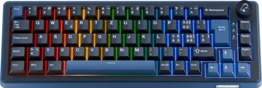 Ducky OK-M 65 - SZ Wine Red Switch - black-blue [CH-Layout]