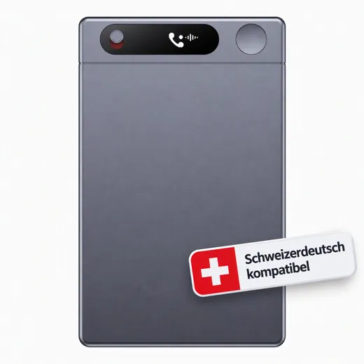 Suisse Meets Pro, Sprachaufnahmegerät für Meetings und Telefonate, 64 GB
